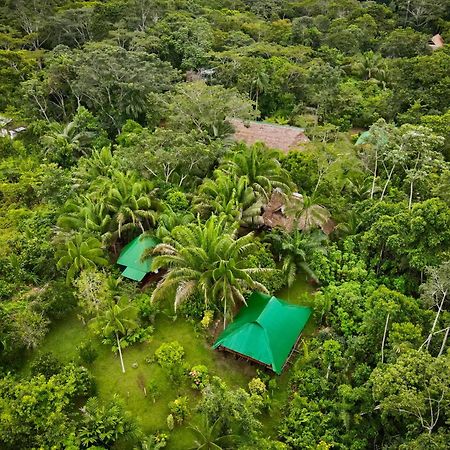 Tronco Tambopata Adventure 호텔 푸에르토말도나도 외부 사진