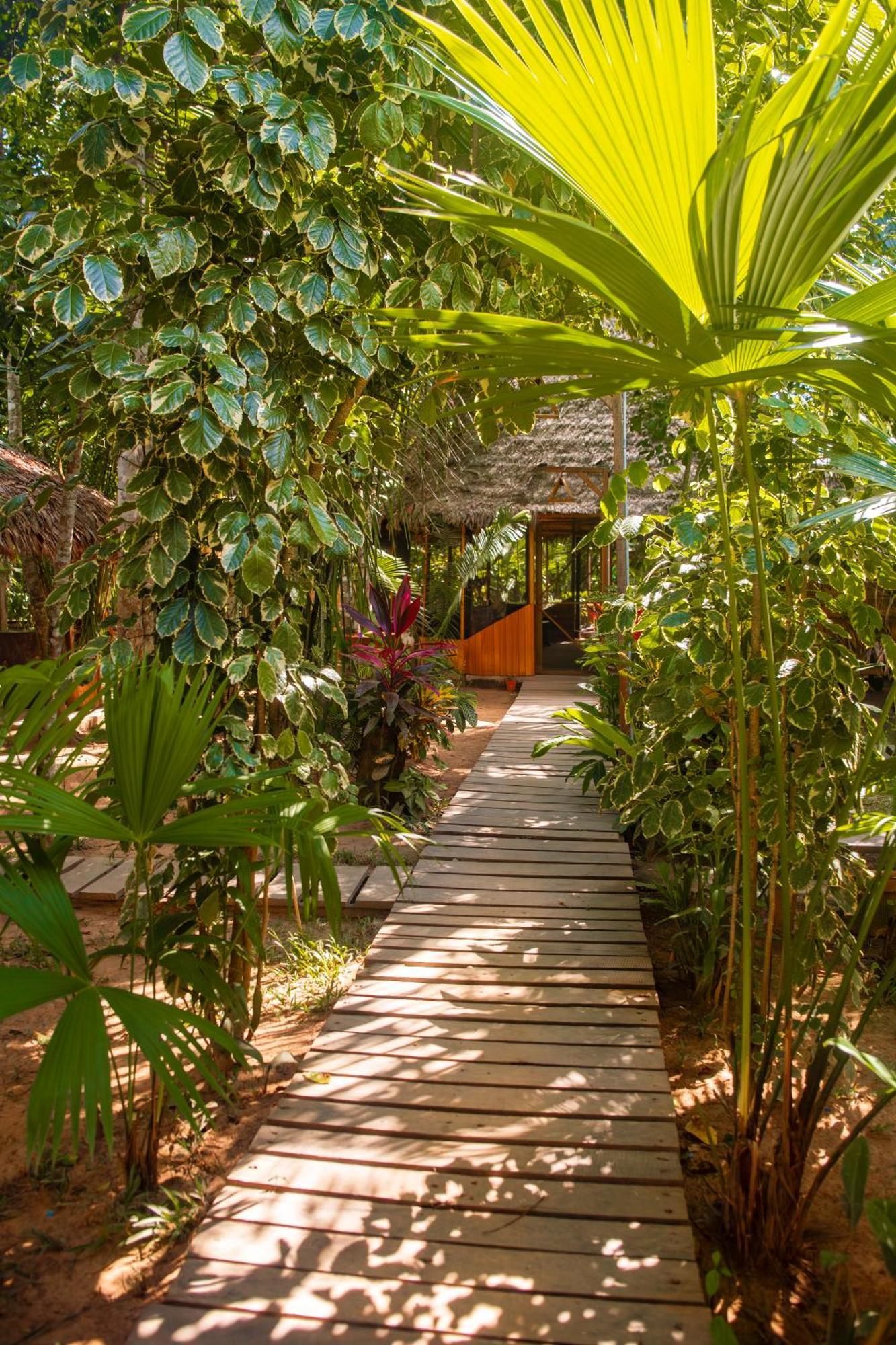 Tronco Tambopata Adventure 호텔 푸에르토말도나도 외부 사진
