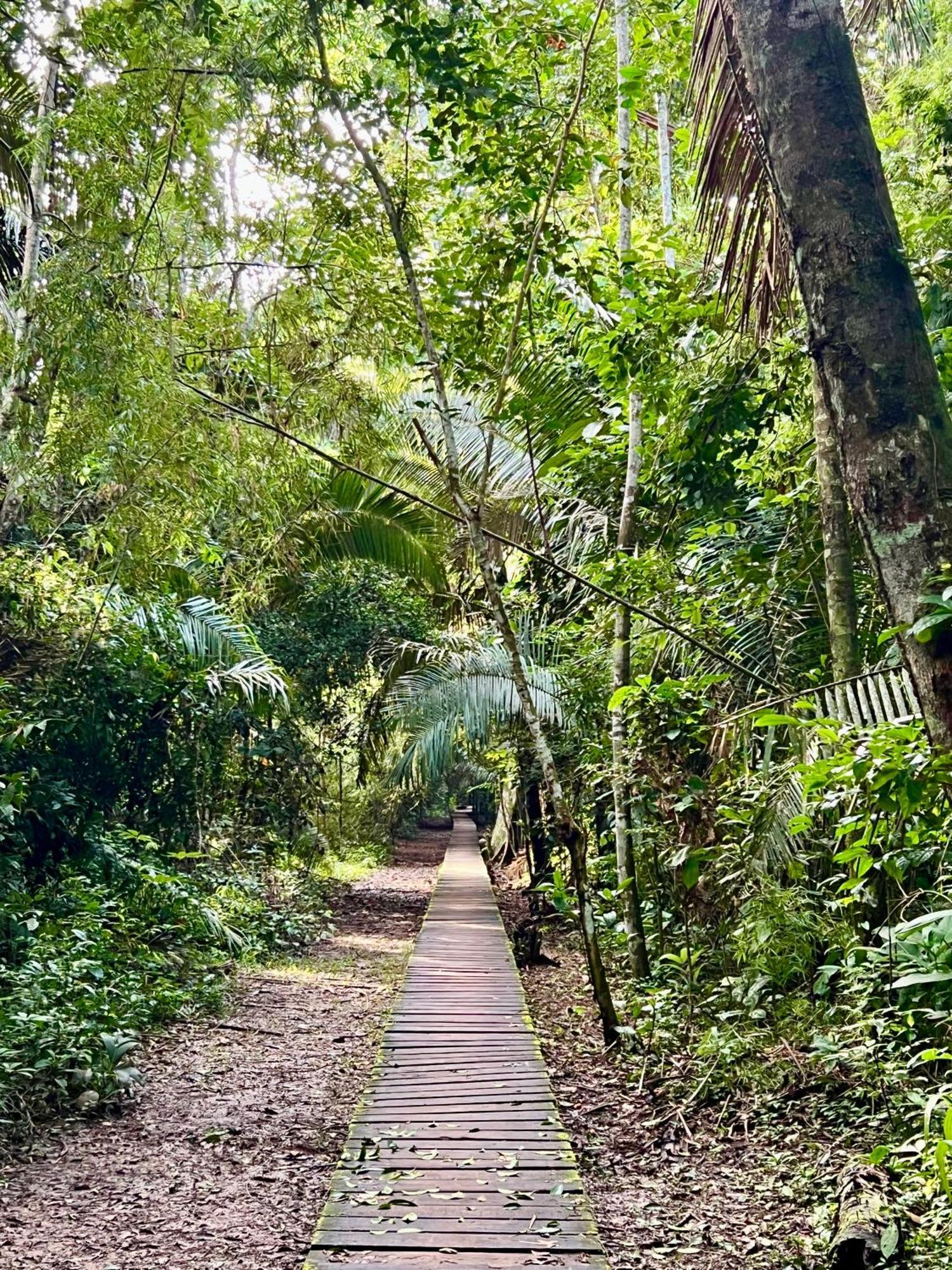 Tronco Tambopata Adventure 호텔 푸에르토말도나도 외부 사진