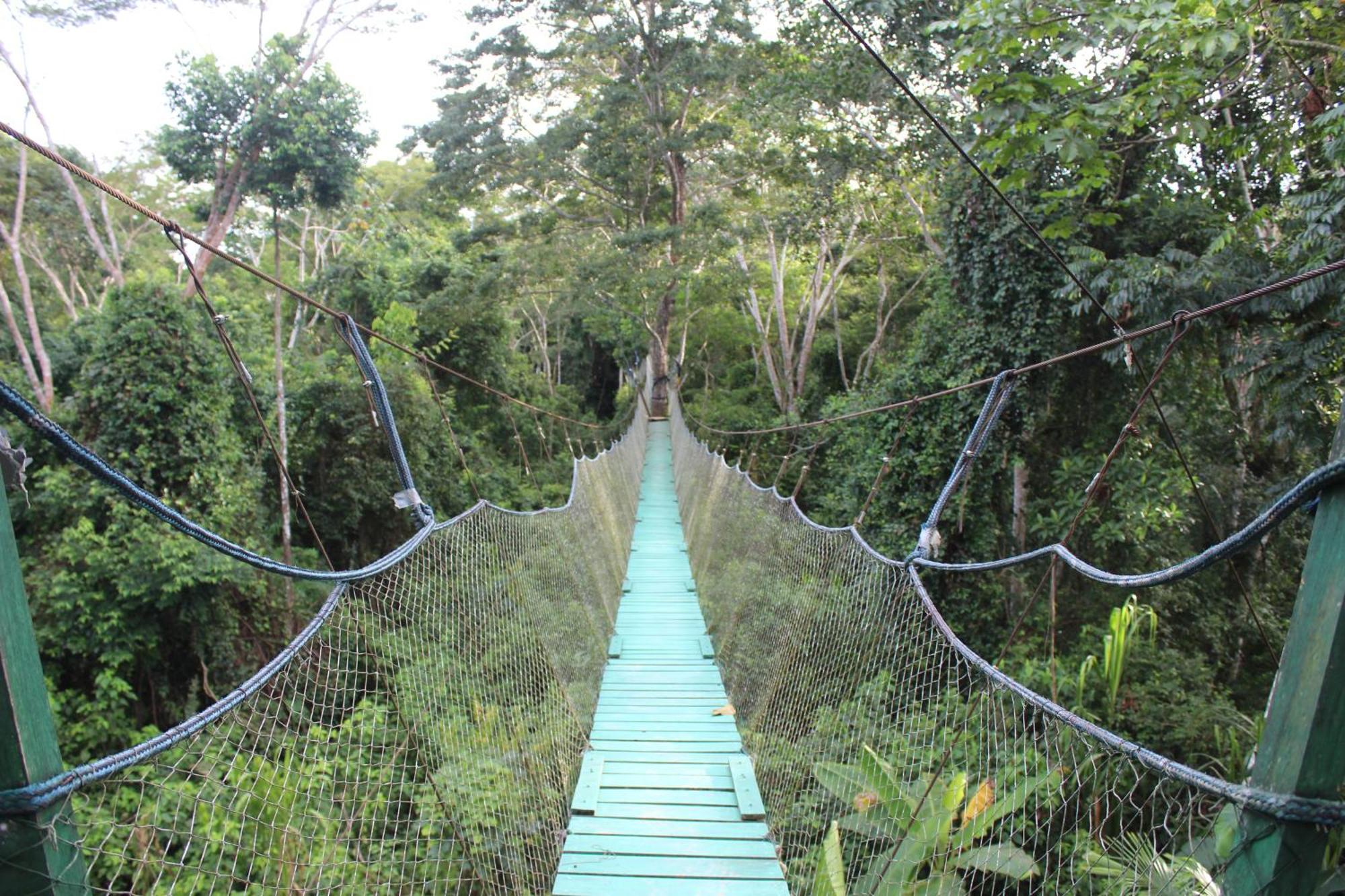 Tronco Tambopata Adventure 호텔 푸에르토말도나도 외부 사진