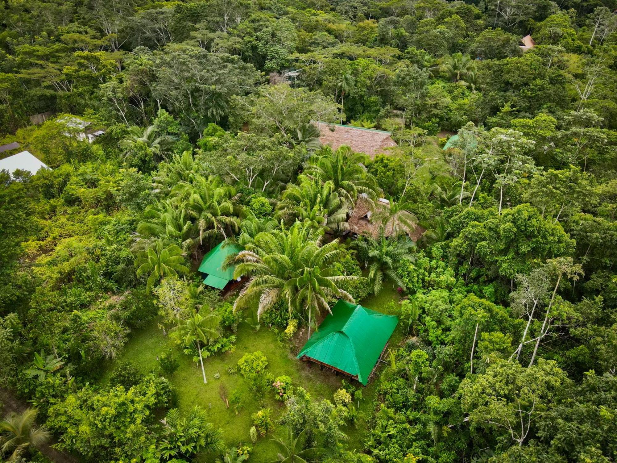 Tronco Tambopata Adventure 호텔 푸에르토말도나도 외부 사진