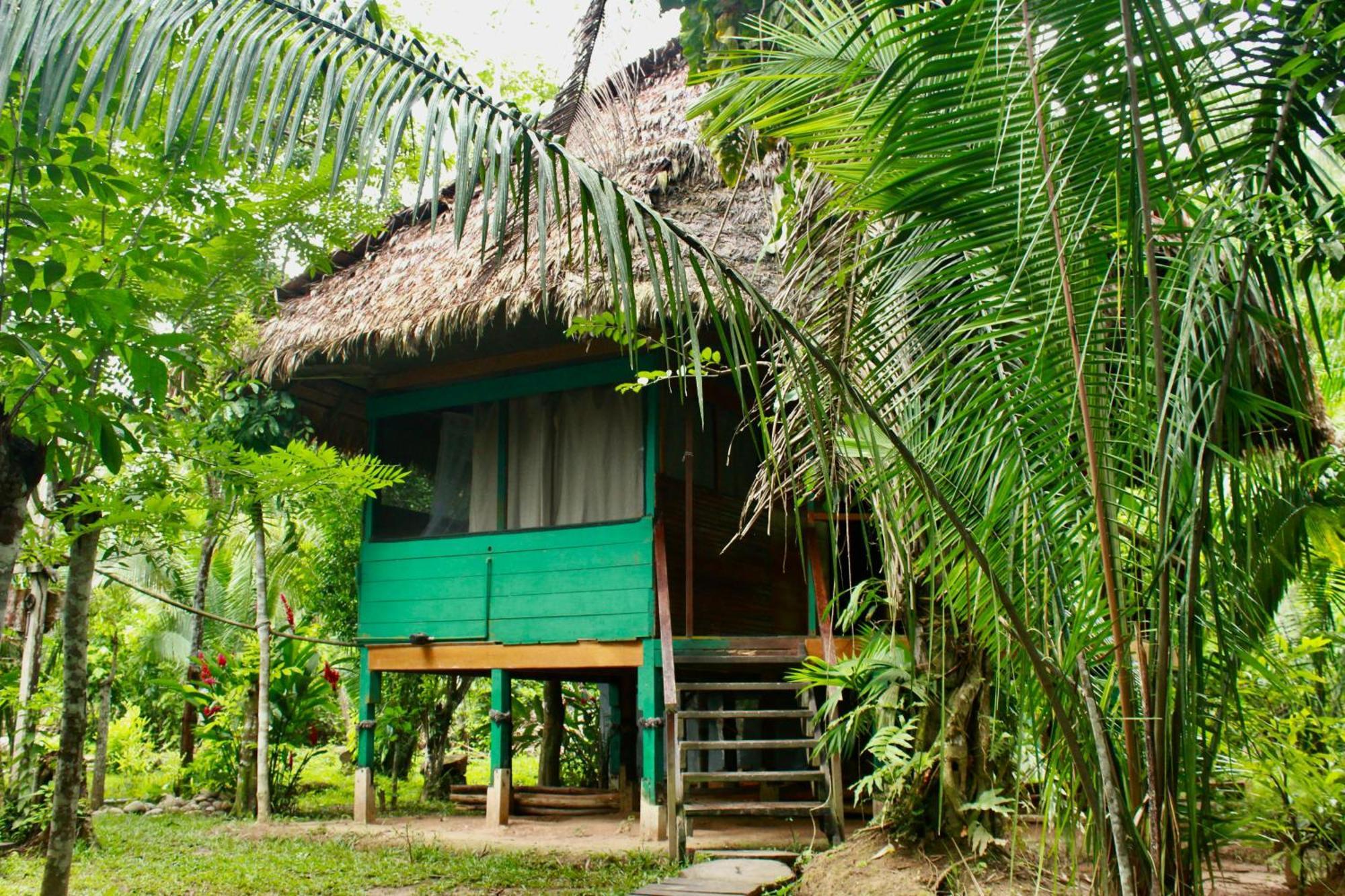 Tronco Tambopata Adventure 호텔 푸에르토말도나도 외부 사진
